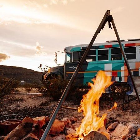 Camping At Desert Gardens Oasis In Lobo, Tx Van Horn Bagian luar foto