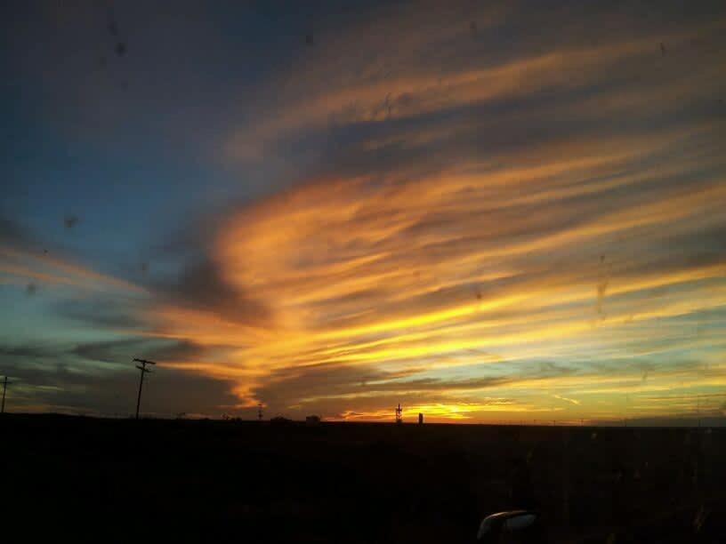 Camping At Desert Gardens Oasis In Lobo, Tx Van Horn Bagian luar foto