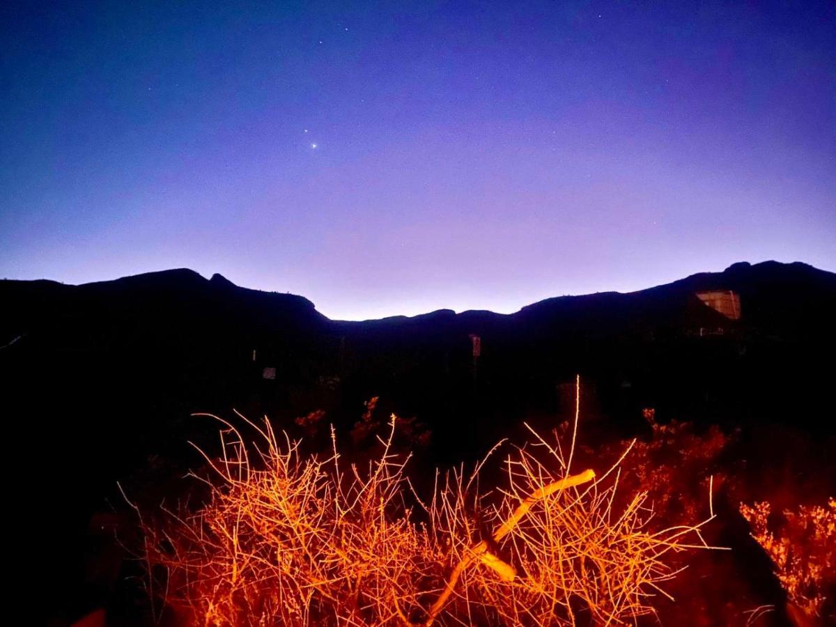 Camping At Desert Gardens Oasis In Lobo, Tx Van Horn Bagian luar foto