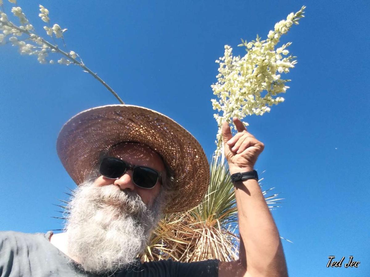 Camping At Desert Gardens Oasis In Lobo, Tx Van Horn Bagian luar foto