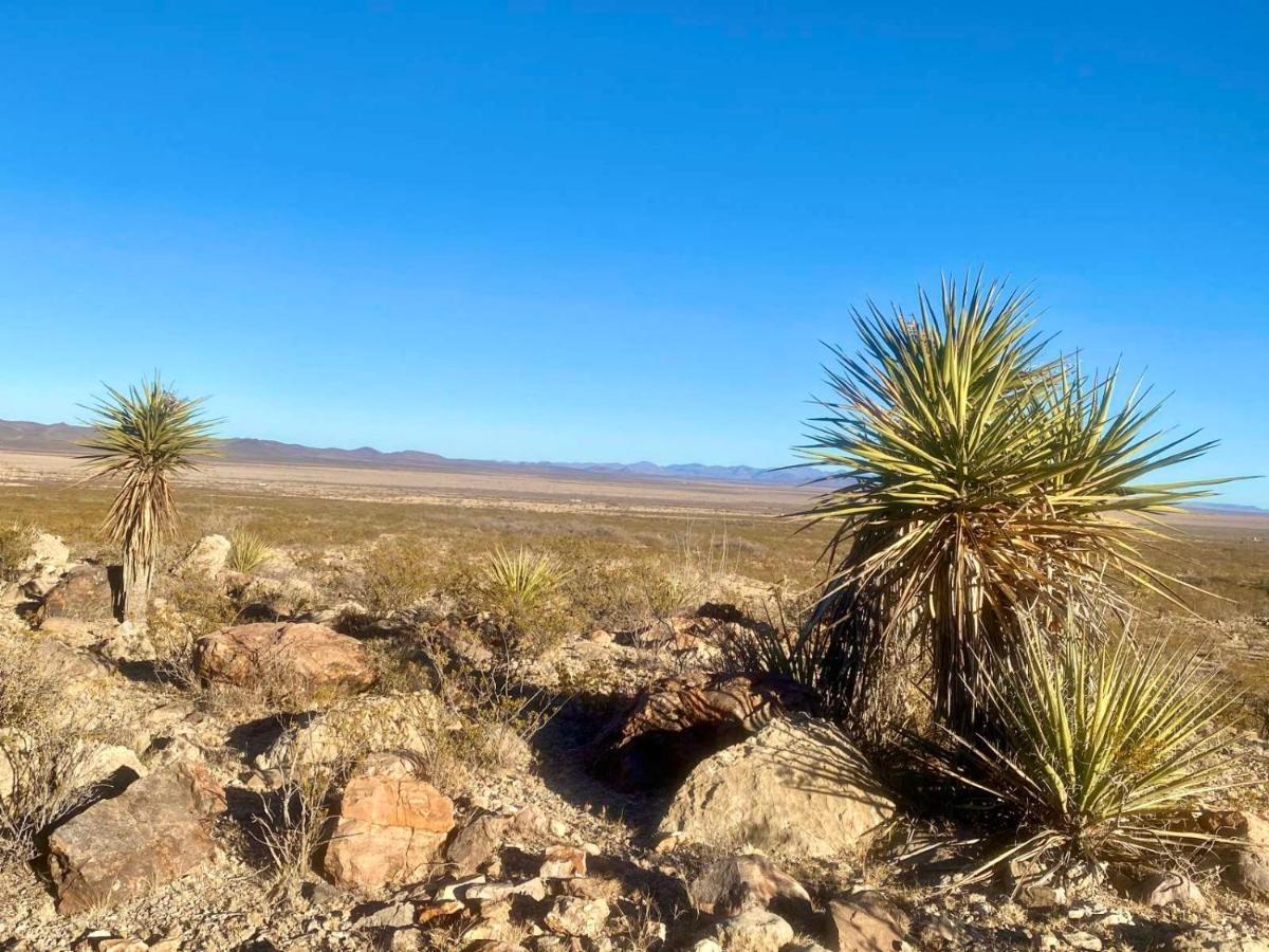 Camping At Desert Gardens Oasis In Lobo, Tx Van Horn Bagian luar foto