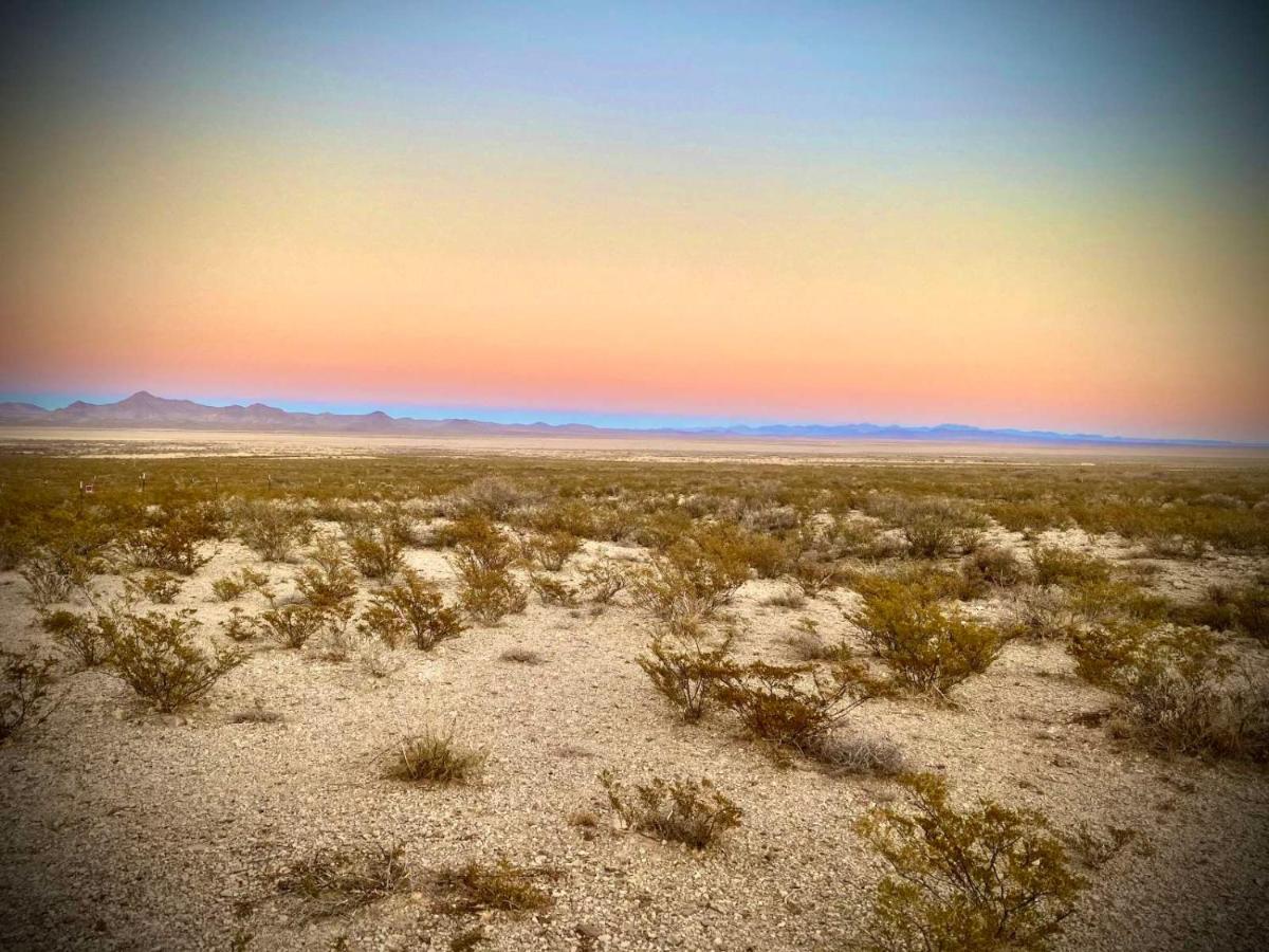 Camping At Desert Gardens Oasis In Lobo, Tx Van Horn Bagian luar foto